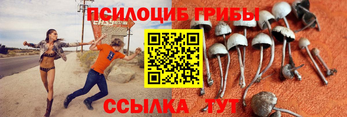 Псилоцибиновые грибы Cubensis  Псилоцибиновые грибы Cubensis  где купить   Вход с VPN  Элиста 